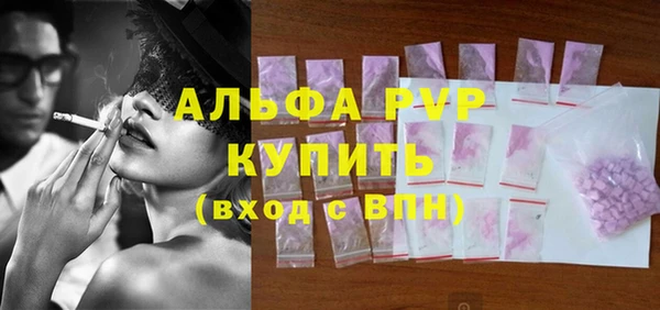 стафф Дмитриев