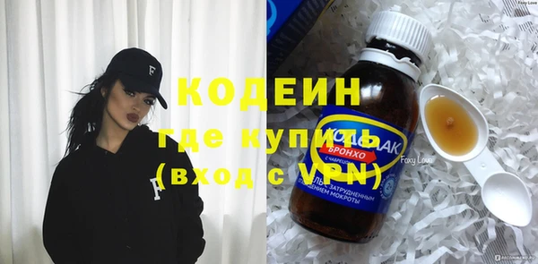 шишки Ельня
