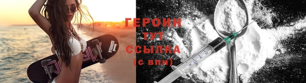 шишки Ельня
