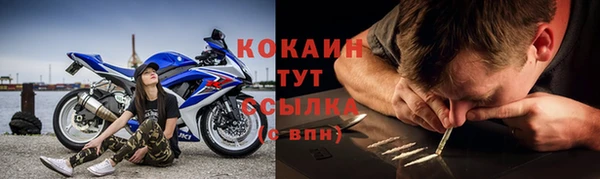 шишки Ельня