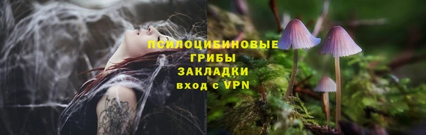 шишки Ельня