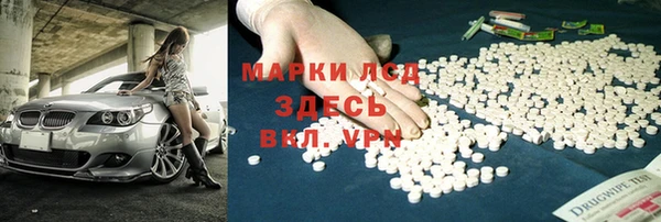 стафф Дмитриев