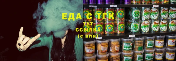 шишки Ельня
