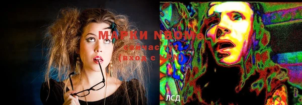 шишки Ельня