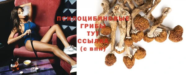 синтетический гашиш Елизово