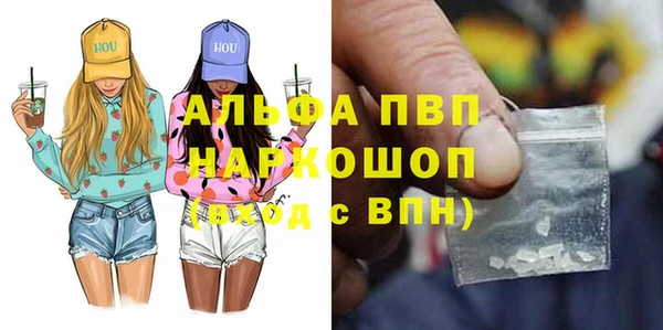 шишки Ельня